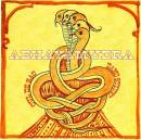 Damo Suzuki/Cul De Sac