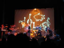 Larsen+Xiu Xiu v �ivo, foto JG